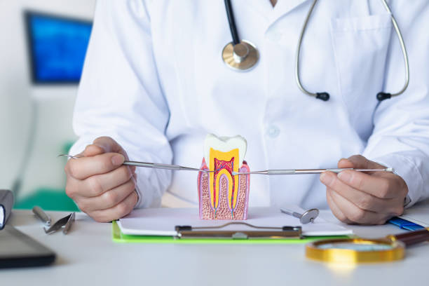 Best Pediatric Emergency Dentist in Andrews, NC